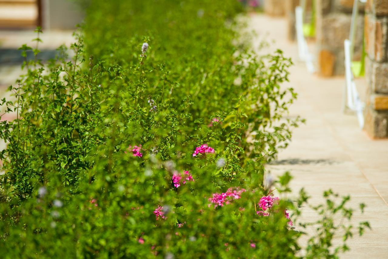 Olive Land Villas Limenaria  Exterior foto